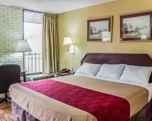 Econo Lodge Creedmoor Room photo