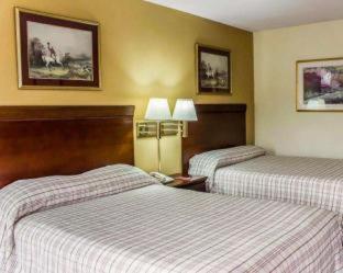 Lodge Econo *