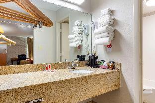 Lodge Econo