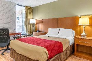 Lodge Econo Creedmoor